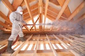 Best Insulation for Existing Homes  in Bayou Vista, TX